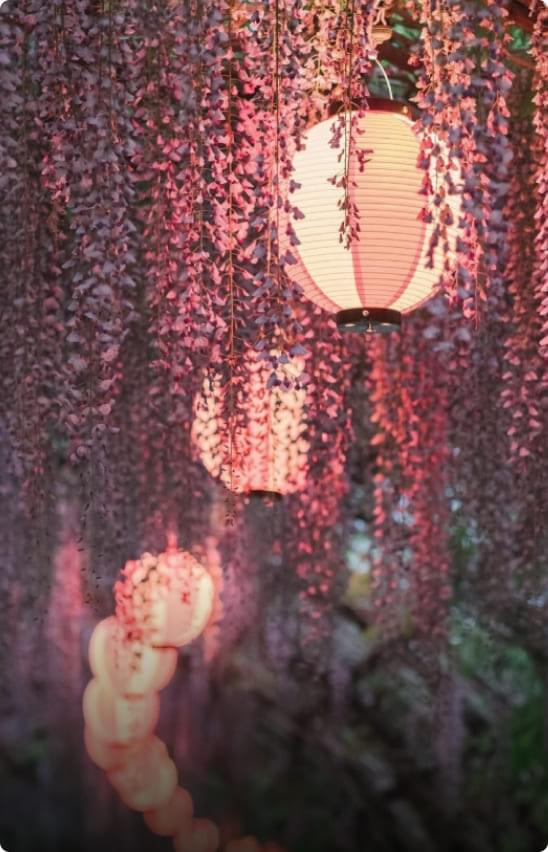 春の柳川市の風景。満開の桜が咲き誇り、水面に映る花びらが美しい情景を作り出している。