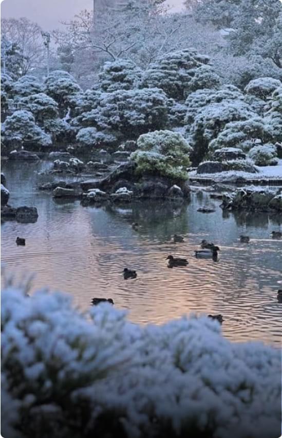冬の柳川市の風景。雪景色の中を進む舟や、冬ならではの風情ある町並みが特徴的。